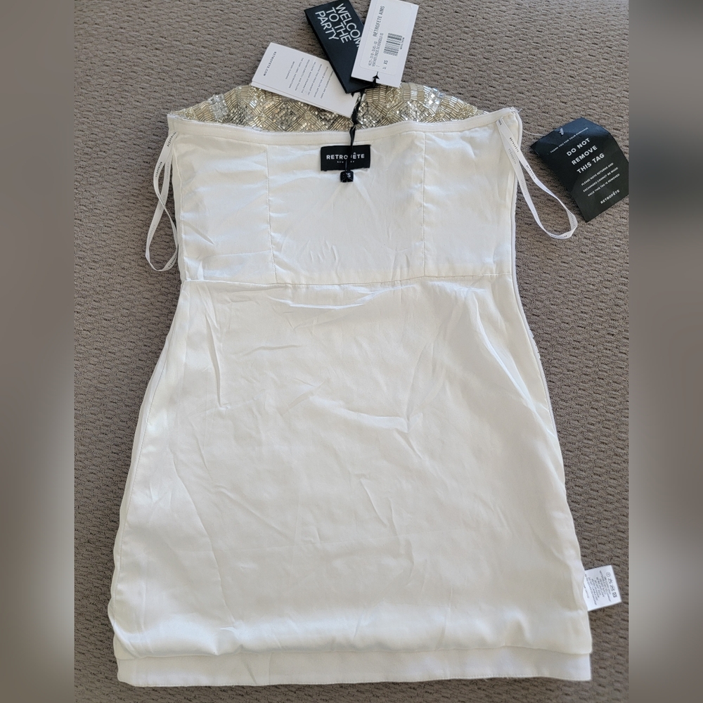 Retrofete Silver Mini Dress - Picture 7 of 13